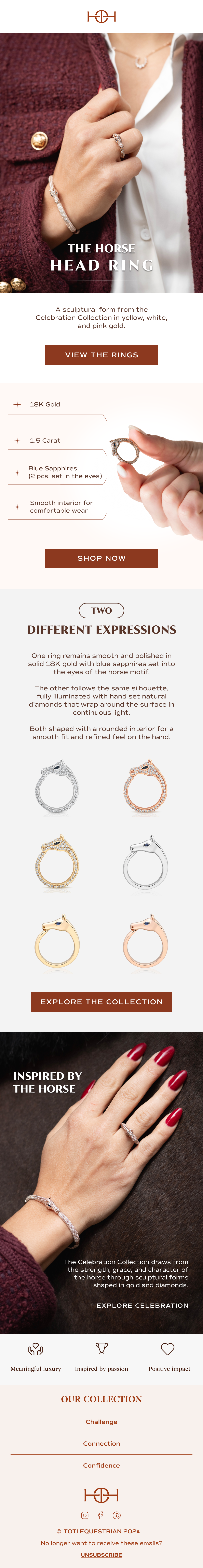 TOTI Equestrian: Celebration ring email design